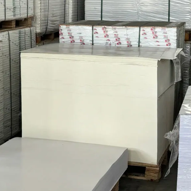 高克重食品级杯底纸原料单层PE涂层纸底卷，用于制作纸杯和纸碗