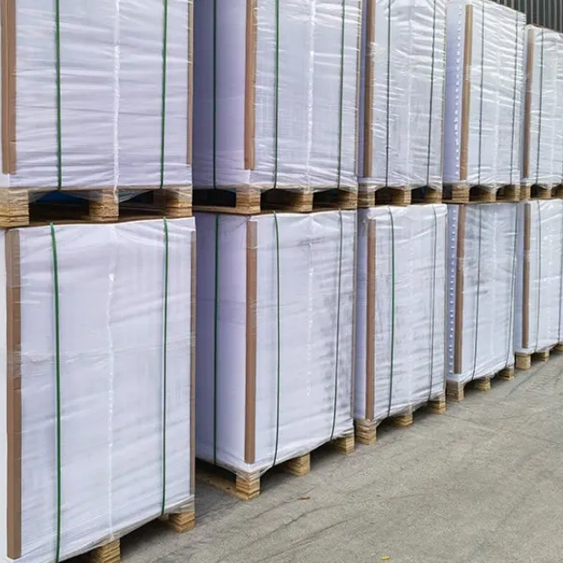 250gsm 300gsm 卷材宽度700mm 1000mm C2S 双面涂布艺术纸，用于印刷标签