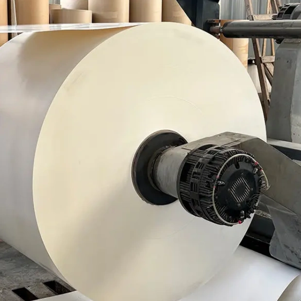 防水纸杯原材料 可生物降解食品级纸杯底卷原材料 150-350gsm 纸杯卷材