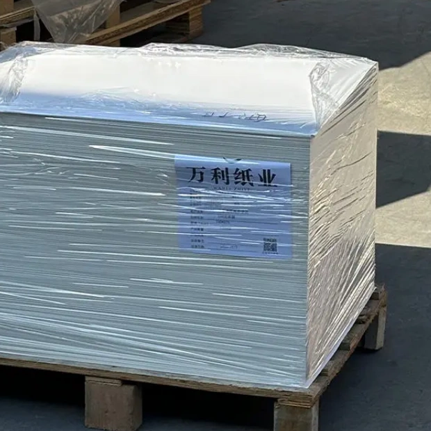 300gsm 哑光镀铬单面咖啡杯纸板，卷状木浆涂层纸板，用于饮料包装