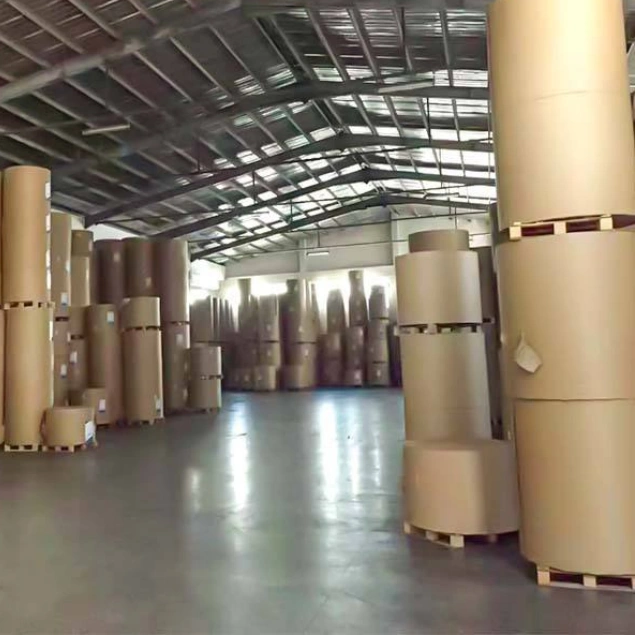 单面涂层象牙板250gsm价格高批量GC1 FBB纸C1S涂层白纸板象牙板艺术纸C1S
