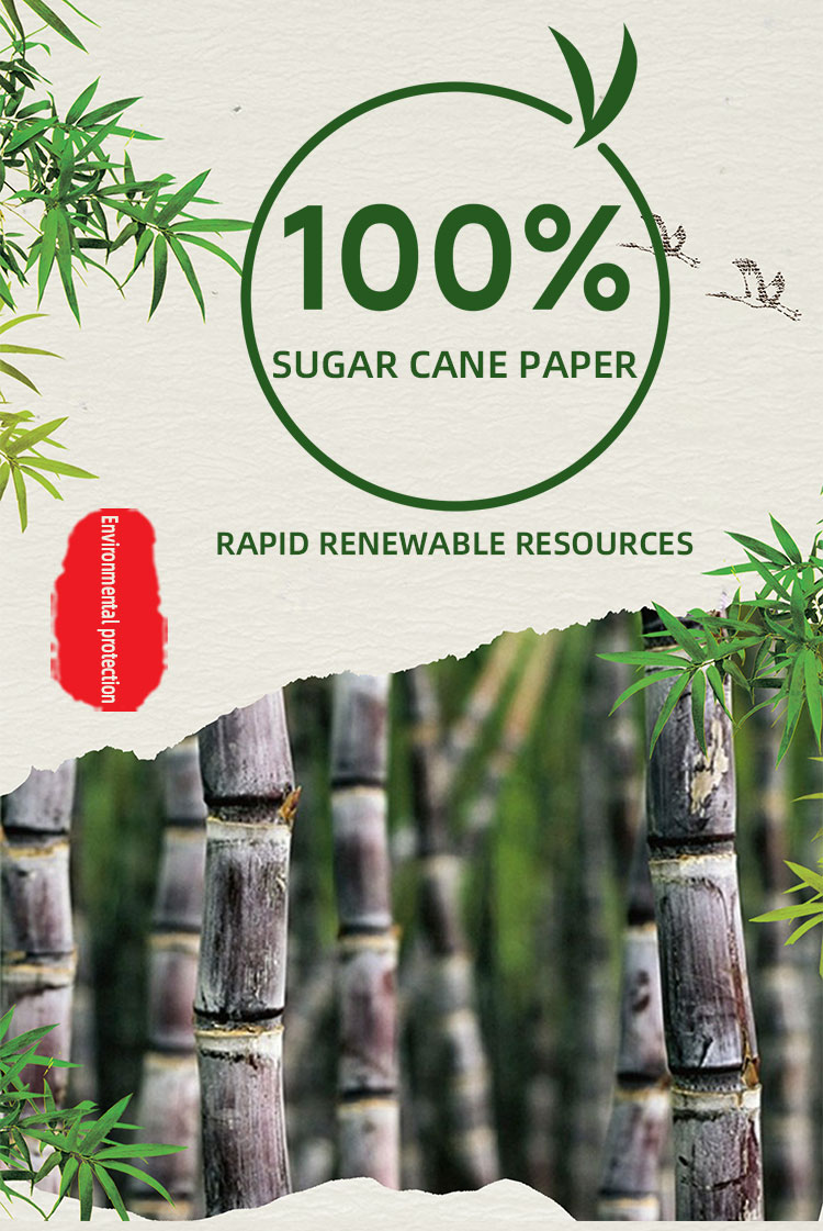 Sorghum Paper